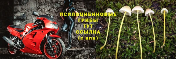 ешки Верхний Тагил